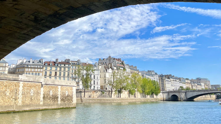 PARIS, THE REVE STORE, PARIS STYLE, NOTRE DAME, 5TH ARRONDISEMENT, SEINE RIVER, PARIS STYLE